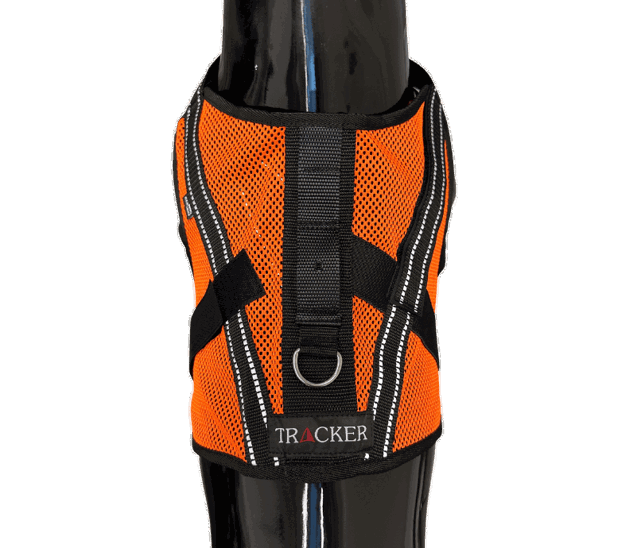 Picture of Tracker Aira lighweight dog vest on a plastic dog
