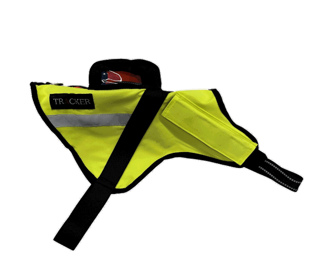 Picture of Tracker Sisu safety harness for a hunting dog