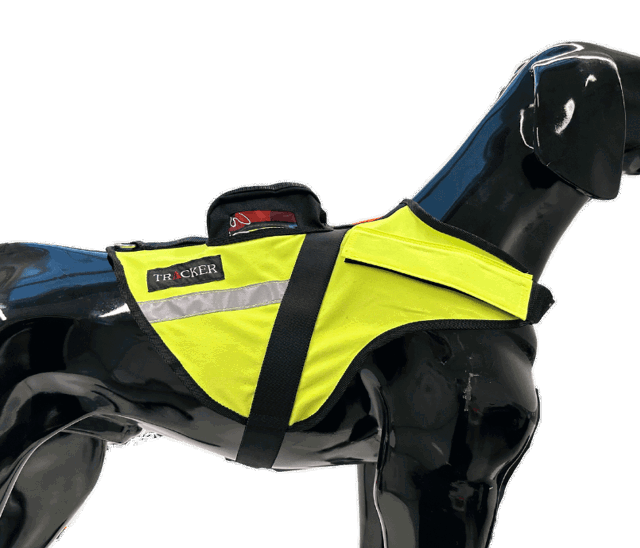 Picture of Tracker Sisu safety harness for a hunting dog on a plastic dog